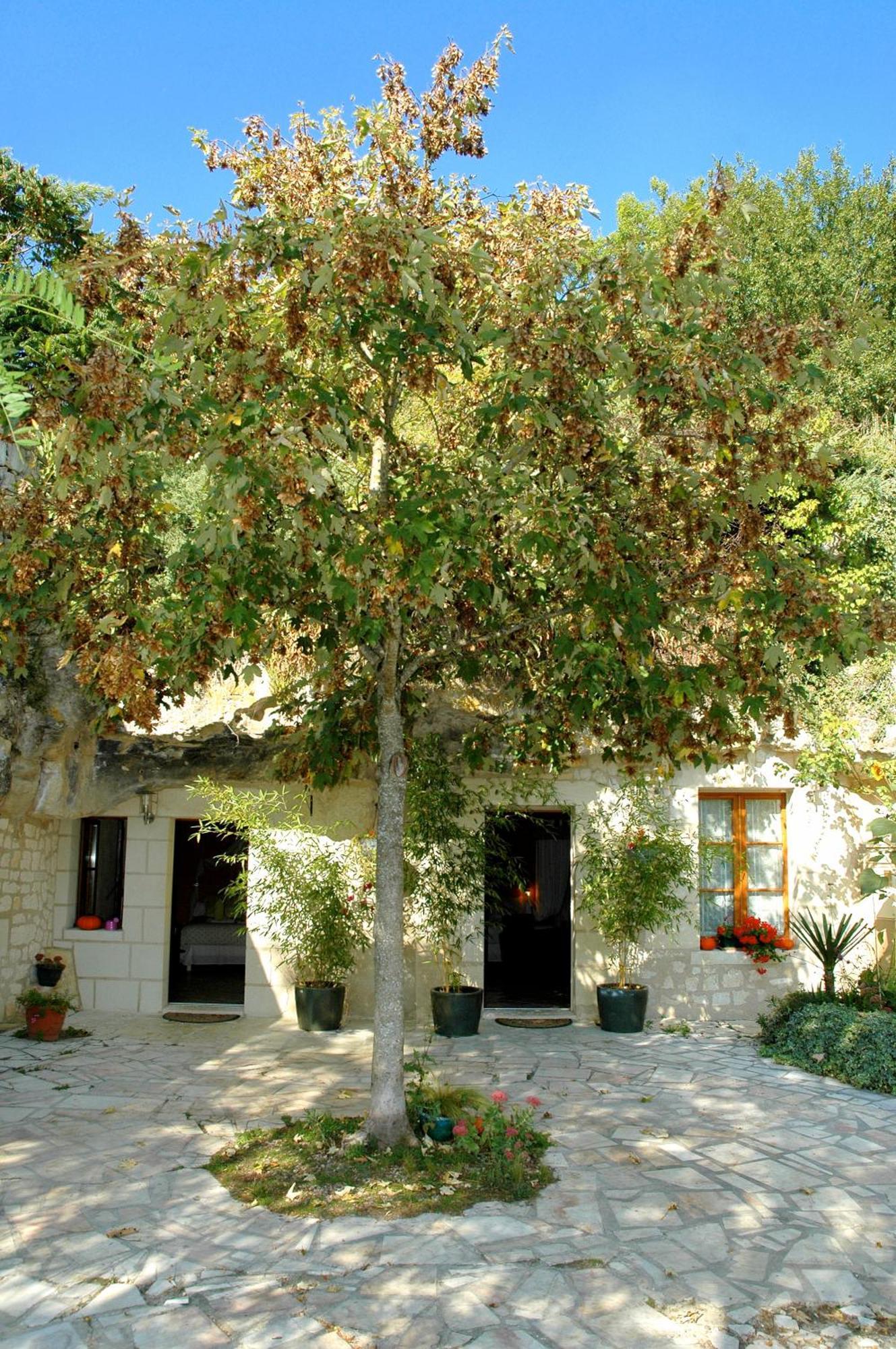 Logis Hotels Troglododo Azay-le-Rideau Exterior photo