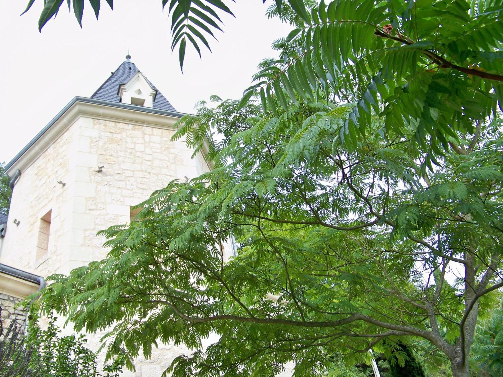 Logis Hotels Troglododo Azay-le-Rideau Exterior photo